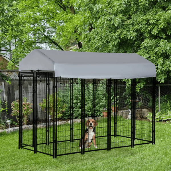 Dog Kennel Dog Kennel